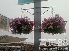潍坊新式立体灯杆花盆 品质灯杆吊盆供应指南
